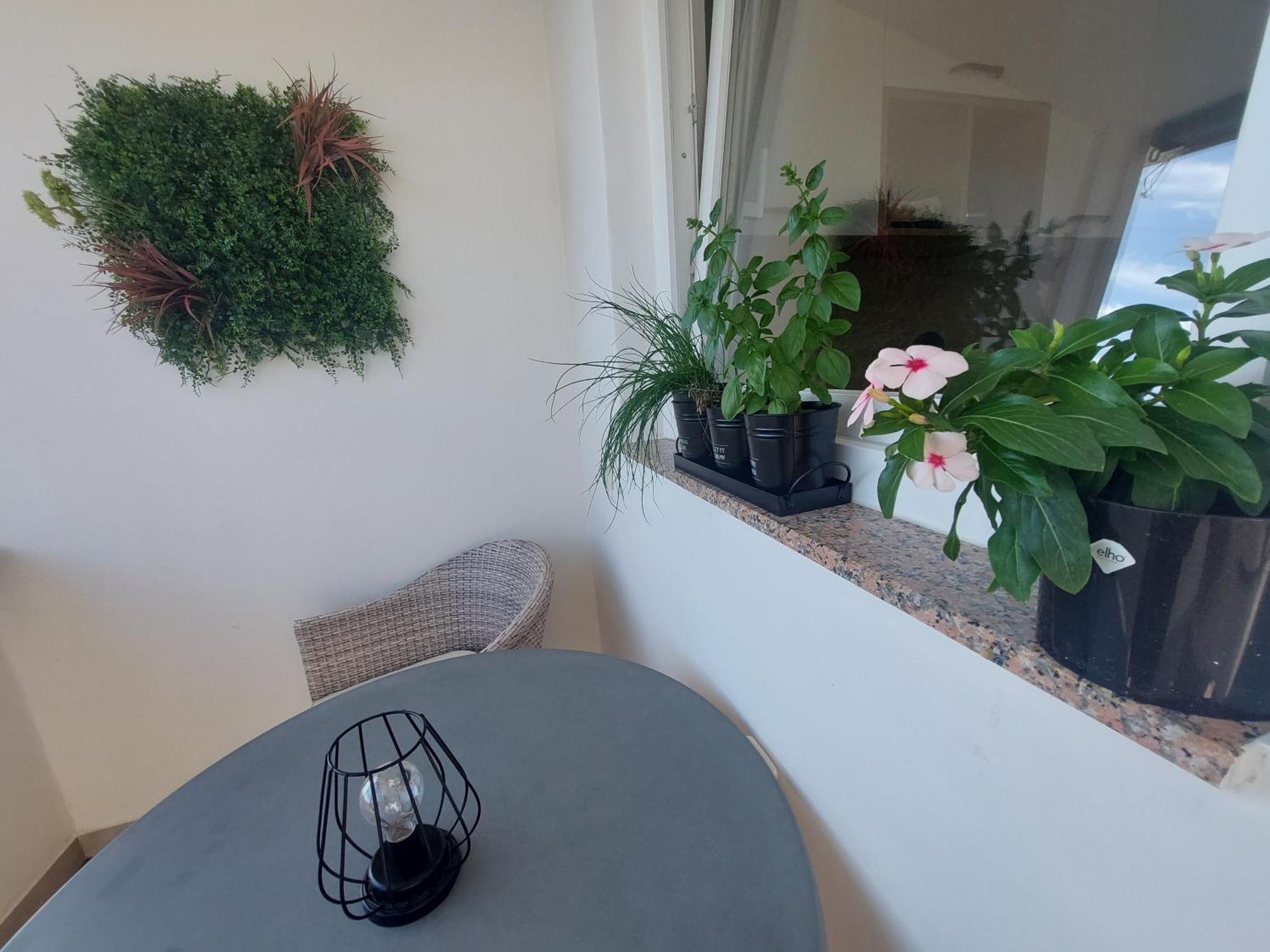 Petra Rooms And Apartments Palit Room photo